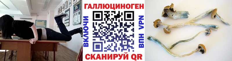 Галлюциногенные грибы GOLDEN TEACHER  Купить  Сургут